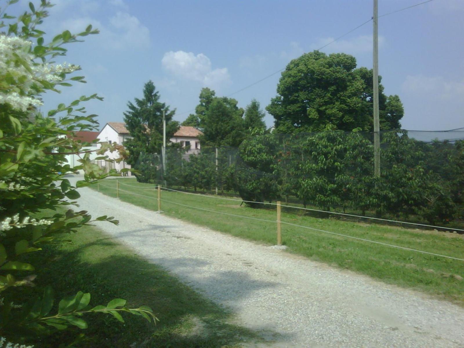 Agriturismo Alla Casella Ferrara Luaran gambar